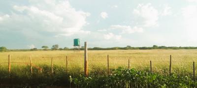 Vacant Land / Plot For Sale in Louis Trichardt Park, Louis Trichardt